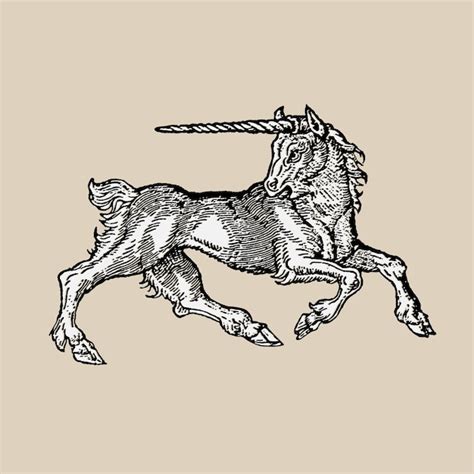 Premium Vector Vector Engraving Of Unicorn In Medieval Style