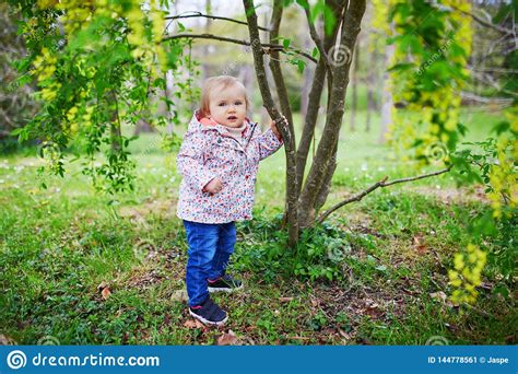 One Year Old Girl Standing Next To A Tree Stock Image Image Of Park
