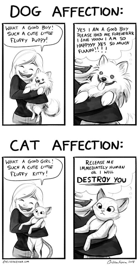 Differences Between Cats And Dogs 60 Funny Pictures Dog Comics