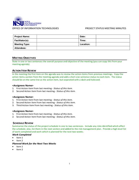 Project Status Meeting Minutes Template Free Download