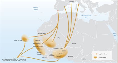 Out Latin American Drug Cartels In African Drug Cartels Wired