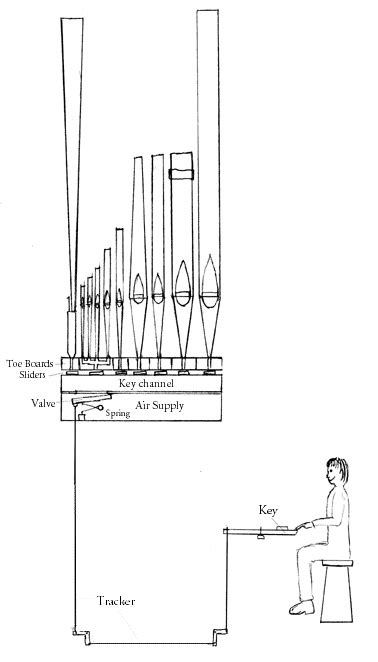 Pipe Organ Diagram