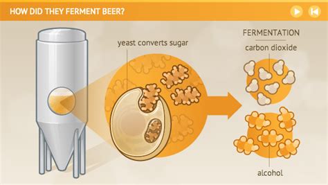 how did they ferment beer