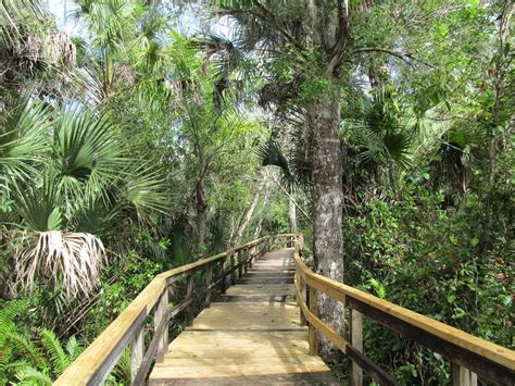 This Beautiful Boardwalk Trail In Florida Is The Most Unique Hike