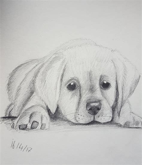Charcoal drawing is popular for people who like to sketch. Image result for easy animals sketches charcoal | Easy ...