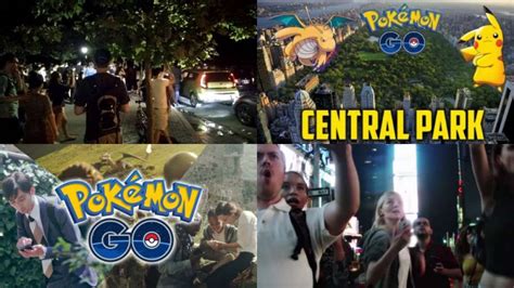 Only took two great balls. il mondo impazzito per "pokémon go": central park brulica ...