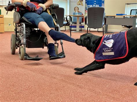 Donate | Hounds for Heroes