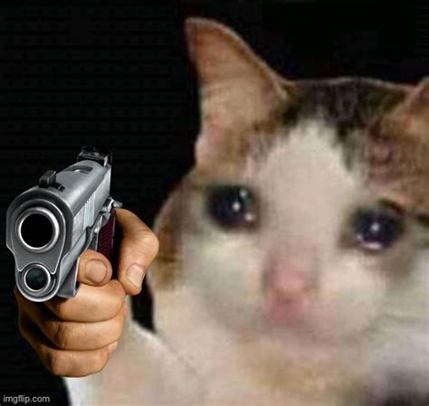 Sad Cat Pointing Gun Imgflip