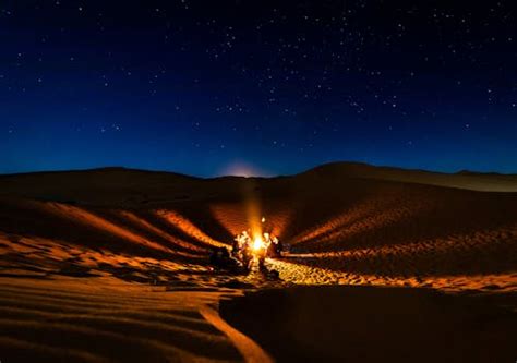 35225 Best Free Desert Night Stock Photos And Images · 100 Royalty