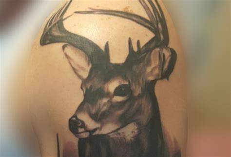 50 Mind Blowing Deer Tattoo Designs Petpress