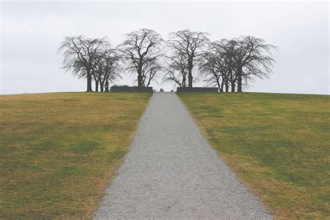 Free Images Landscape Tree Path Outdoor Horizon Sky Trail