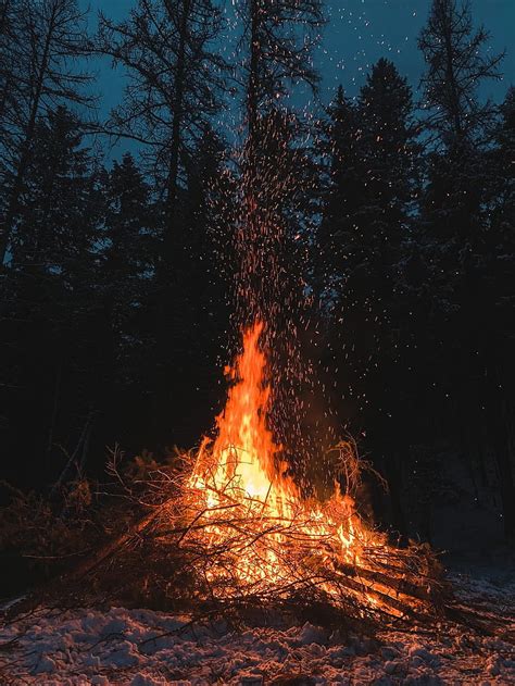 Bonfire In Forest During Night Time Fire Winter Camp Fire Hd Phone