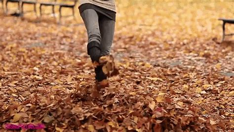 Jumping In Leaves  Reasonstogetexcitedforfall Fall Autumn
