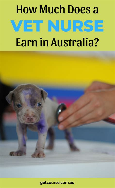 To become a veterinary nurse you usually have to complete a vet qualification. Career Idea - Vet Nurse | Nursing australia, Vets, Pet care