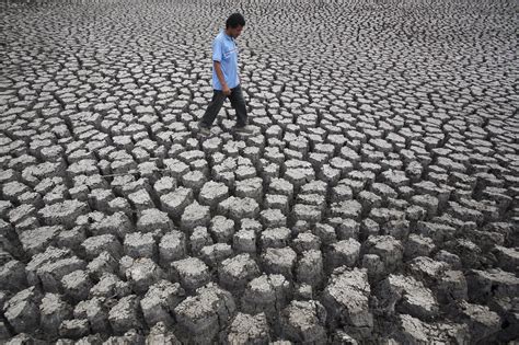 Severe El Niño Weather To ‘double As Climate Change Continues To Warm