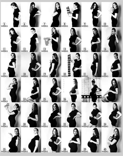 Pregnancy Progress Pictures Weekly Pregnancy Photos Couple Pregnancy Photoshoot Pregnancy