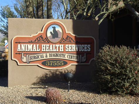 Where To Take Your Pet To The Vet In Scottsdale Az Animal Health