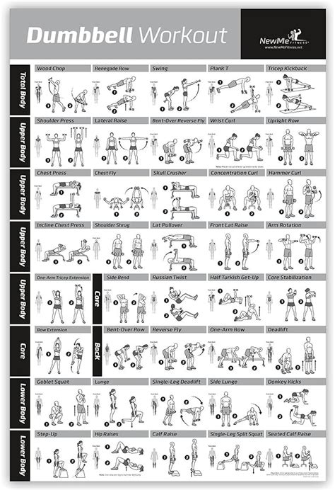 Vive Dumbbell Exercise Poster Home Gym Workout For Upper Lower Full Body Laminated Bodyweight