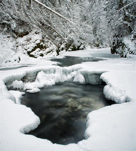 Frozen Stream In Winter Forest Stock Photo Image Of Springs Water