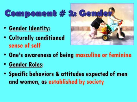 Ppt Social Stratification Sex And Gender Powerpoint Presentation Id2307235