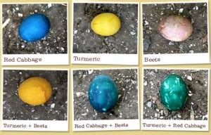 Levine says that the fda treats eggs just like any other organs when it comes to donations, and there are lots of rules and regulations in place to become an egg donor, just like with any tissue donation. Natural Dyed Easter Eggs - Dirty Gourmet