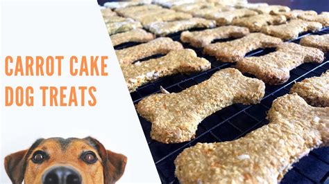 Carrot Cake Dog Treats Healthy Belly Full Recipe Youtube