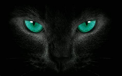 Black Cat Green Eyes By Welshdragon On Deviantart