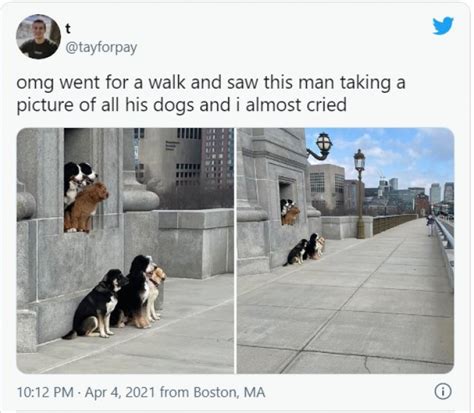 15 Of The Best Dog Posts From This Week