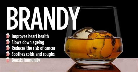 Brandy Recipes For Coughing Home Alqu