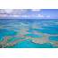 The Great Barrier Reef On Brink  New Scientist