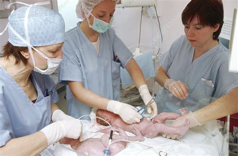 Caesarean Twins Stock Image M8100354 Science Photo Library