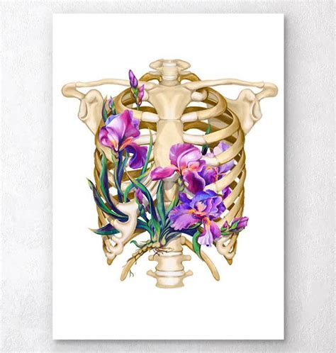 Rib Cage Anatomy With Organs Heart Trapped In A Rib Cage Anatomy Art