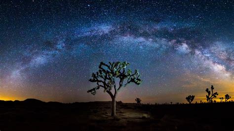 Free Download Joshua Tree National Park Milky Way Geographic Wallpaper