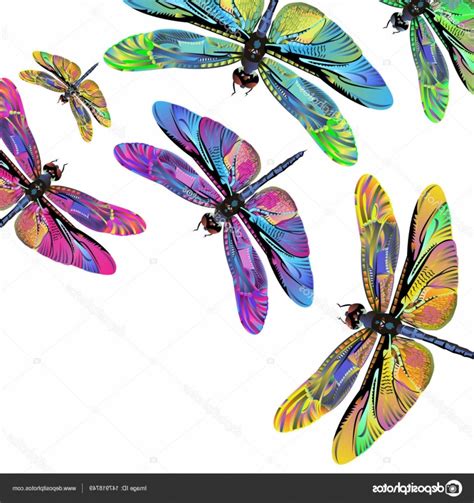 Dragonfly Vector Art At Getdrawings Free Download