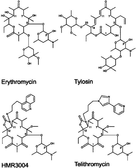 Structures Of The Macrolide And Ketolide Compounds Used In This Study