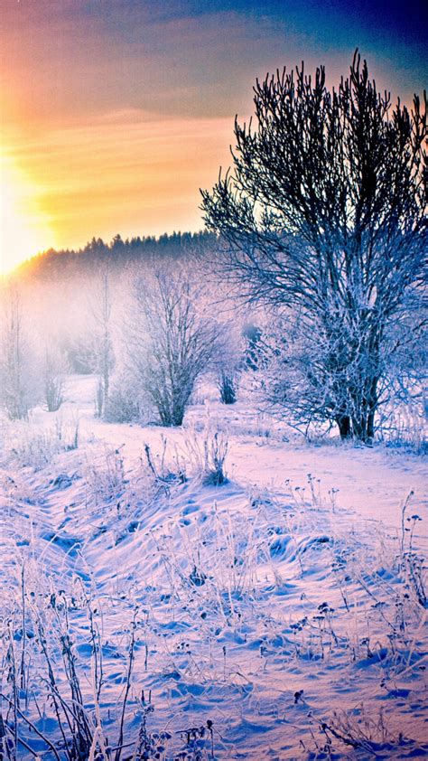 Snow Screensavers And Wallpaper 60 Images