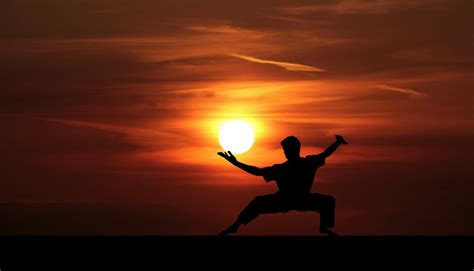 Kung Fumaster Silhouette Free Stock Photo Public Domain Pictures
