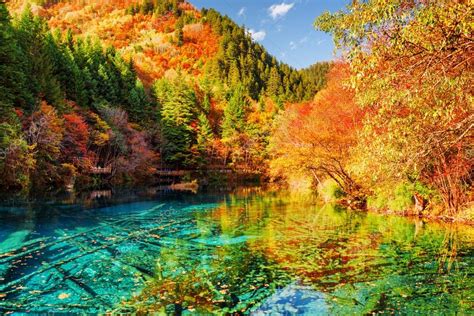 The Five Flower Lake Multicolored Lake Among Autumn Forest Stock