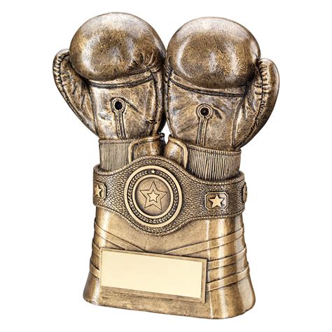Bronze Boxing Gloves Award Trophy Awards Trophies Supplier