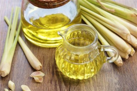 Lemongrass Essential Oil Benefits What You Need To Know