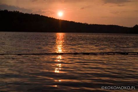 We have a record for a monika kornecka living at an address in leicester le2. fot. Monika Kornecka - Kokomoko nurkowanie | Facebook