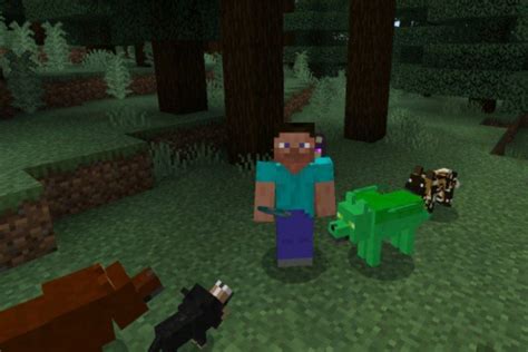 Download Wolf Mod For Minecraft Pe — Wolf Mod