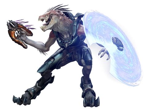 Different Covenant Designs Two Subspecies Rhalostory