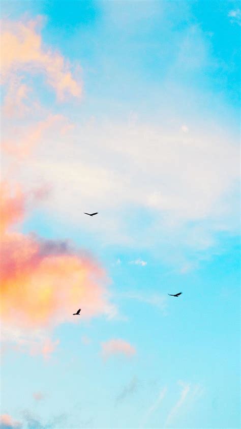 Matt Crump Photography Pastel Iphone Wallpaper Birds Sunset Ocean