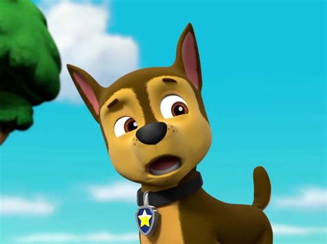PAW Patrol On TV Channels And Schedules TVTurtle Com