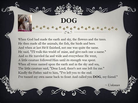 God Made Dog Dog House Diy Animal Quotes Dogs