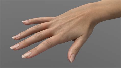 Artstation Scanned Female Hand Shading In Modo
