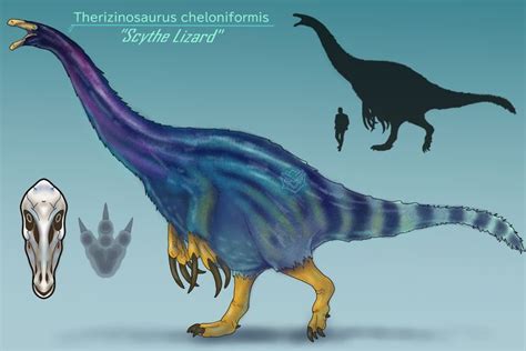 Therizinosaurus Cheloniformis By Bangboodoragon On Deviantart