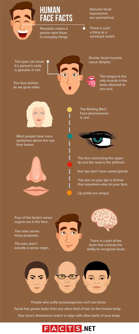 Facial Hair Facts