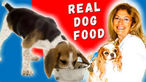 What Is The Right Diet For Dogs With Dr Judy Morgan